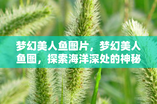 梦幻美人鱼图片,梦幻美人鱼图,探索海洋深处的神秘传说 梦幻美人鱼图片,梦幻美人鱼图,探索海洋深处的神秘传说