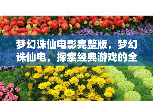 梦幻诛仙电影完整版,梦幻诛仙电,探索经典游戏的全新体验 梦幻诛仙电影完整版,梦幻诛仙电,探索经典游戏的全新体验