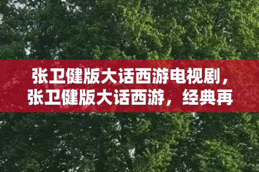 张卫健版大话西游电视剧，张卫健版大话西游，经典再现，情怀与创新的碰撞