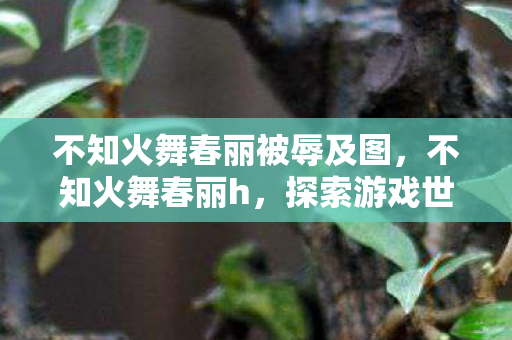 不知火舞春丽被辱及图,不知火舞春丽h,探索游戏世界的独特魅力 不知火舞春丽被辱及图,不知火舞春丽h,探索游戏世界的独特魅力