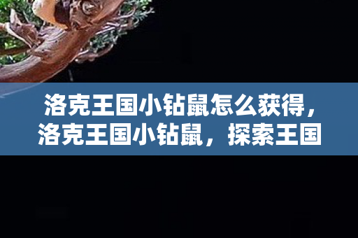 洛克王国小钻鼠怎么获得，洛克王国小钻鼠，探索王国中的奇妙冒险