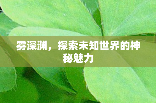 雾深渊,探索未知世界的神秘魅力 雾深渊,探索未知世界的神秘魅力