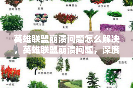 英雄联盟崩溃问题怎么解决,英雄联盟崩溃问题,深度解析与解决方案 英雄联盟崩溃问题怎么解决,英雄联盟崩溃问题,深度解析与解决方案