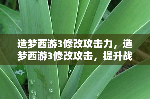 造梦西游3修改攻击力,造梦西游3修改攻击,提升战斗力的合法途径 造梦西游3修改攻击力,造梦西游3修改攻击,提升战斗力的合法途径