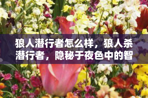 狼人潜行者怎么样,狼人杀潜行者,隐秘于夜色中的智者 狼人潜行者怎么样,狼人杀潜行者,隐秘于夜色中的智者
