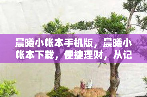 晨曦小帐本手机版,晨曦小帐本下载,便捷理财,从记账开始 晨曦小帐本手机版,晨曦小帐本下载,便捷理财,从记账开始