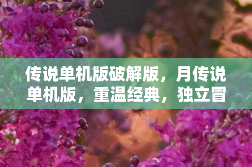 传说单机版破解版,月传说单机版,重温经典,独立冒险的奇幻之旅 传说单机版破解版,月传说单机版,重温经典,独立冒险的奇幻之旅