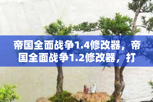 帝国全面战争1.4修改器,帝国全面战争1.2修改器,打造个性化游戏体验的利器 帝国全面战争1.4修改器,帝国全面战争1.2修改器,打造个性化游戏体验的利器