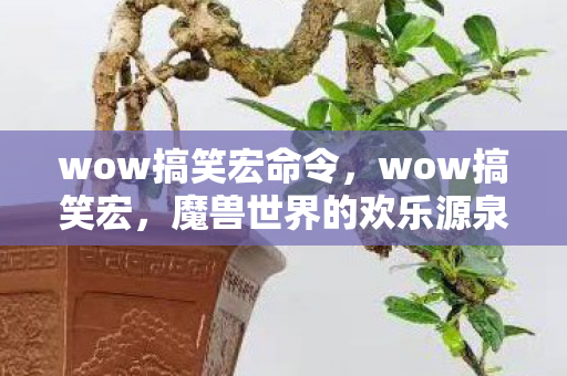 wow搞笑宏命令,wow搞笑宏,魔兽世界的欢乐源泉 wow搞笑宏命令,wow搞笑宏,魔兽世界的欢乐源泉