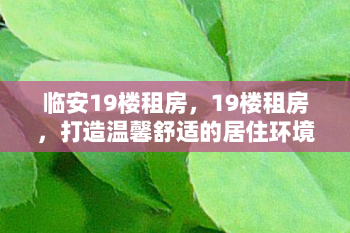临安19楼租房，19楼租房，打造温馨舒适的居住环境