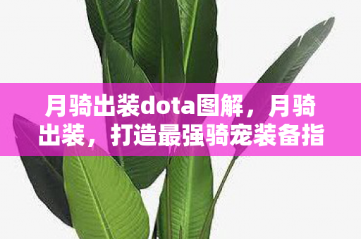月骑出装dota图解,月骑出装,打造最强骑宠装备指南 月骑出装dota图解,月骑出装,打造最强骑宠装备指南