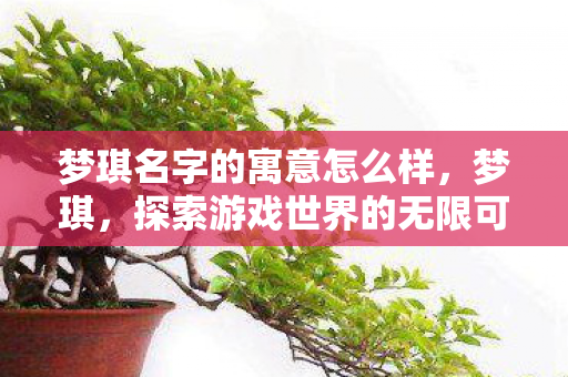 梦琪名字的寓意怎么样,梦琪,探索游戏世界的无限可能 梦琪名字的寓意怎么样,梦琪,探索游戏世界的无限可能