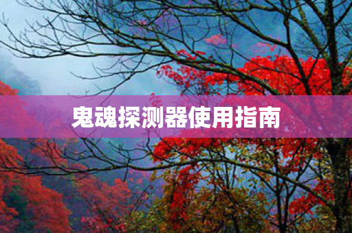 鬼魂探测器使用指南 鬼魂探测器使用指南