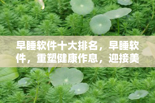 早睡软件十大排名，早睡软件，重塑健康作息，迎接美好明天