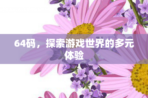 64码,探索游戏世界的多元体验 64码,探索游戏世界的多元体验