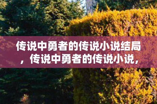 传说中勇者的传说小说结局，传说中勇者的传说小说，勇者的传承与传奇