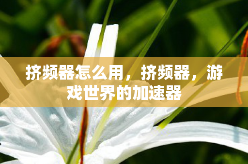 挤频器怎么用,挤频器,游戏世界的加速器 挤频器怎么用,挤频器,游戏世界的加速器