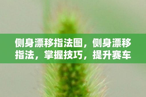 侧身漂移指法图，侧身漂移指法，掌握技巧，提升赛车体验