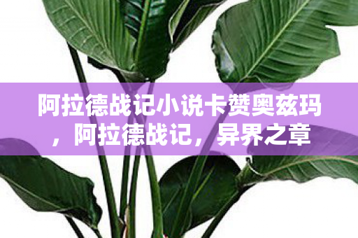 阿拉德战记小说卡赞奥兹玛,阿拉德战记,异界之章 阿拉德战记小说卡赞奥兹玛,阿拉德战记,异界之章