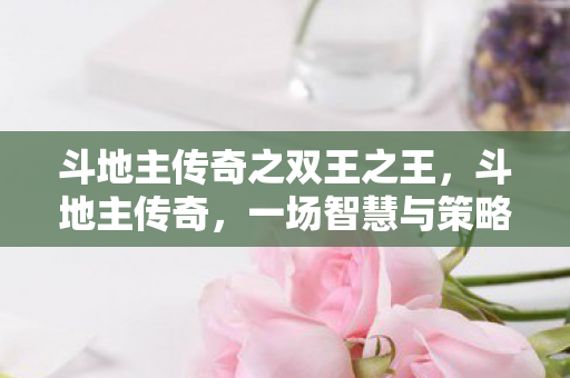 斗地主传奇之双王之王,斗地主传奇,一场智慧与策略的盛宴 斗地主传奇之双王之王,斗地主传奇,一场智慧与策略的盛宴