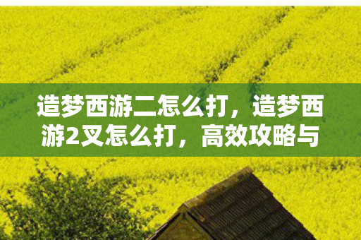 造梦西游二怎么打,造梦西游2叉怎么打,高效攻略与技巧分享 造梦西游二怎么打,造梦西游2叉怎么打,高效攻略与技巧分享