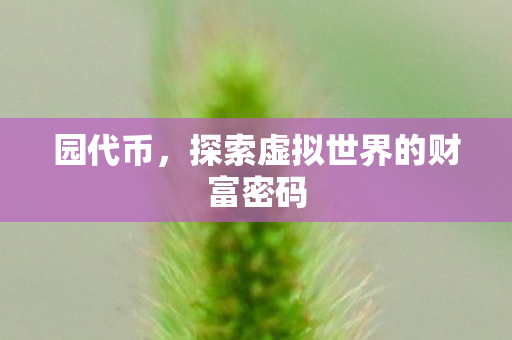 园代币,探索虚拟世界的财富密码 园代币,探索虚拟世界的财富密码