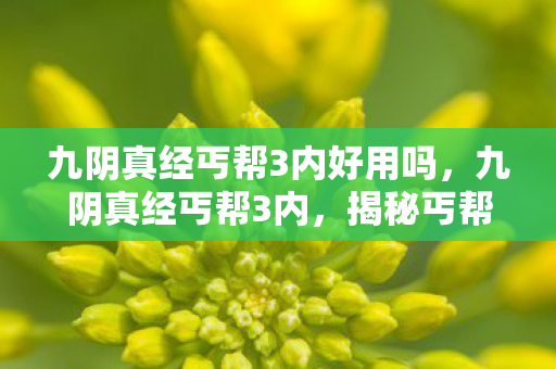 九阴真经丐帮3内好用吗,九阴真经丐帮3内,揭秘丐帮内功的奥秘 九阴真经丐帮3内好用吗,九阴真经丐帮3内,揭秘丐帮内功的奥秘