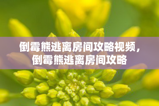 倒霉熊逃离房间攻略视频，倒霉熊逃离房间攻略