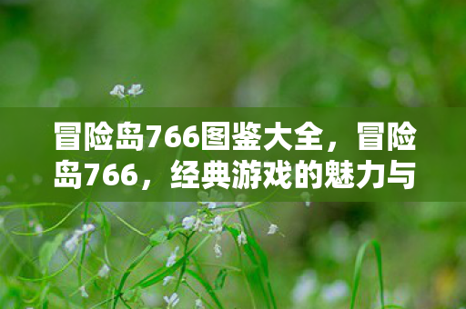 冒险岛766图鉴大全,冒险岛766,经典游戏的魅力与社区文化 冒险岛766图鉴大全,冒险岛766,经典游戏的魅力与社区文化