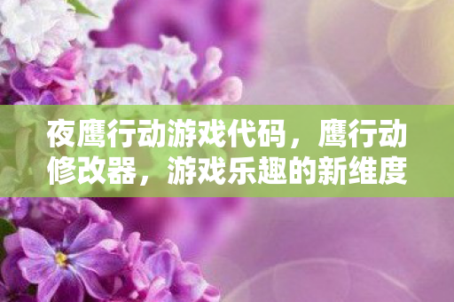 夜鹰行动游戏代码，鹰行动修改器，游戏乐趣的新维度