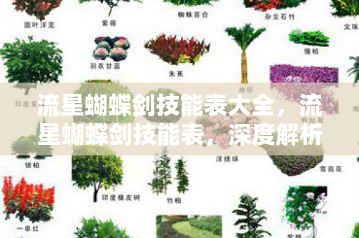 流星蝴蝶剑技能表大全,流星蝴蝶剑技能表,深度解析与实战应用 流星蝴蝶剑技能表大全,流星蝴蝶剑技能表,深度解析与实战应用