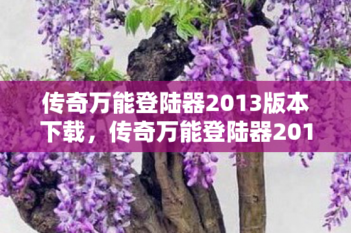 传奇万能登陆器2013版本下载,传奇万能登陆器2013,便捷玩家的游戏新选择 传奇万能登陆器2013版本下载,传奇万能登陆器2013,便捷玩家的游戏新选择