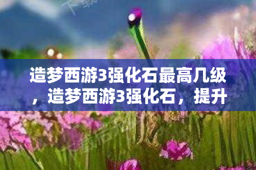造梦西游3强化石最高几级,造梦西游3强化石,提升战斗力的关键 造梦西游3强化石最高几级,造梦西游3强化石,提升战斗力的关键