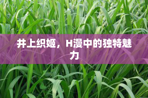井上织姬，H漫中的独特魅力