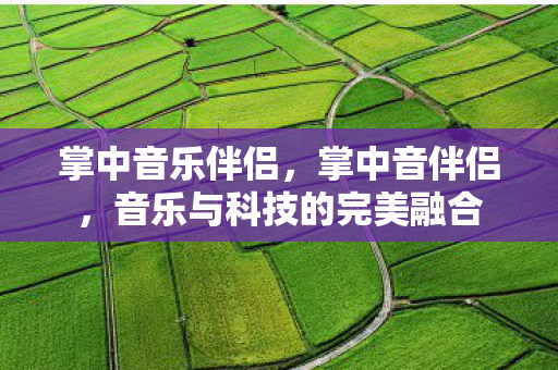 掌中音乐伴侣,掌中音伴侣,音乐与科技的完美融合 掌中音乐伴侣,掌中音伴侣,音乐与科技的完美融合