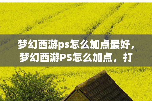 梦幻西游ps怎么加点最好,梦幻西游PS怎么加点,打造最强辅助的加点策略 梦幻西游ps怎么加点最好,梦幻西游PS怎么加点,打造最强辅助的加点策略
