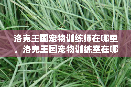 洛克王国宠物训练师在哪里,洛克王国宠物训练室在哪里 洛克王国宠物训练师在哪里,洛克王国宠物训练室在哪里