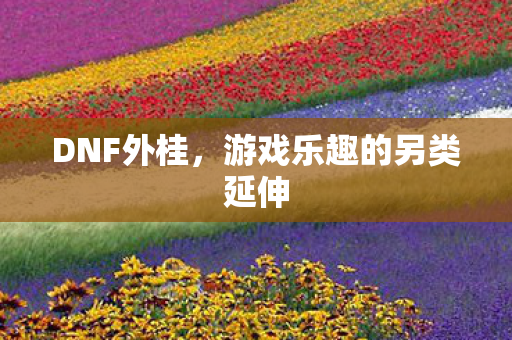 DNF外桂,游戏乐趣的另类延伸 DNF外桂,游戏乐趣的另类延伸