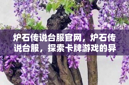 炉石传说台服官网,炉石传说台服,探索卡牌游戏的异域风情 炉石传说台服官网,炉石传说台服,探索卡牌游戏的异域风情