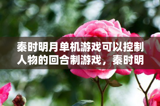 秦时明月单机游戏可以控制人物的回合制游戏,秦时明月单机游戏,穿越历史,体验武侠传奇 秦时明月单机游戏可以控制人物的回合制游戏,秦时明月单机游戏,穿越历史,体验武侠传奇