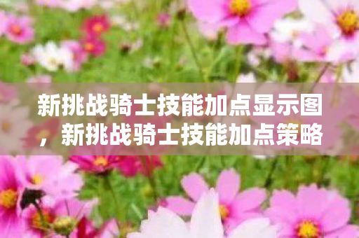 新挑战骑士技能加点显示图,新挑战骑士技能加点策略 新挑战骑士技能加点显示图,新挑战骑士技能加点策略