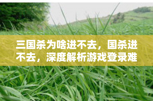 深度解析游戏登录难题与解决方案图片