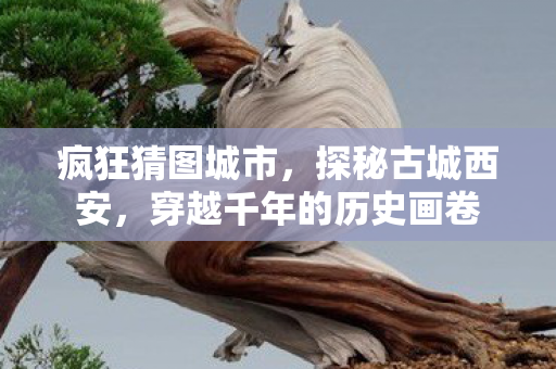 疯狂猜图城市，探秘古城西安，穿越千年的历史画卷