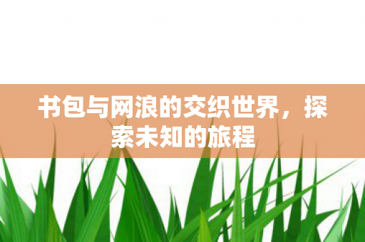 书包与网浪的交织世界，探索未知的旅程