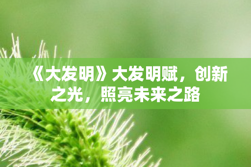 《大发明》大发明赋,创新之光,照亮未来之路 《大发明》大发明赋,创新之光,照亮未来之路