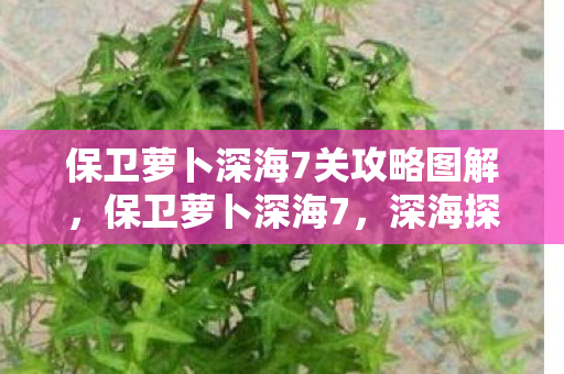 保卫萝卜深海7关攻略图解,保卫萝卜深海7,深海探险与策略塔防的完美结合 保卫萝卜深海7关攻略图解,保卫萝卜深海7,深海探险与策略塔防的完美结合