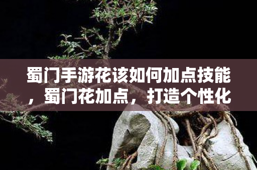 蜀门手游花该如何加点技能,蜀门花加点,打造个性化角色,提升战斗力的关键 蜀门手游花该如何加点技能,蜀门花加点,打造个性化角色,提升战斗力的关键
