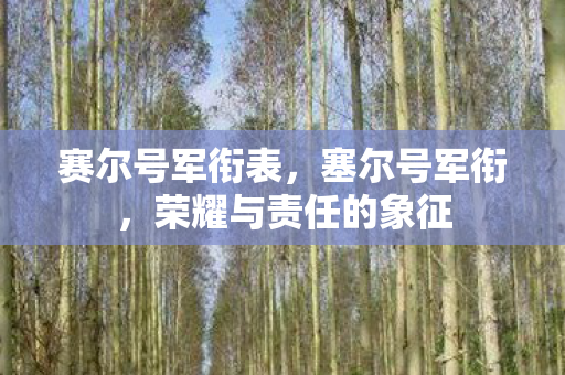 赛尔号军衔表,塞尔号军衔,荣耀与责任的象征 赛尔号军衔表,塞尔号军衔,荣耀与责任的象征