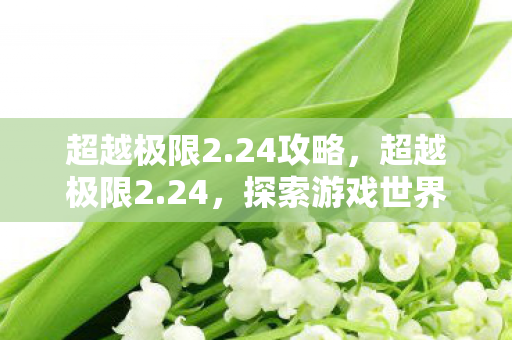 超越极限2.24攻略,超越极限2.24,探索游戏世界的无限可能 超越极限2.24攻略,超越极限2.24,探索游戏世界的无限可能