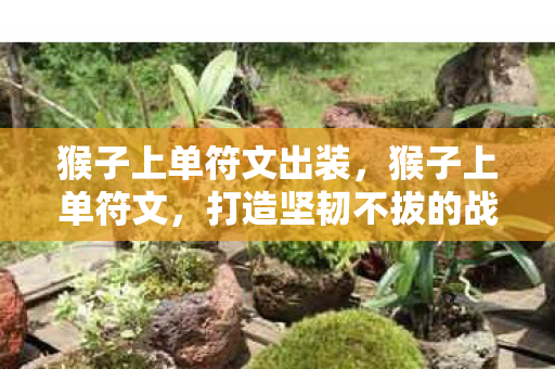 猴子上单符文出装,猴子上单符文,打造坚韧不拔的战士 猴子上单符文出装,猴子上单符文,打造坚韧不拔的战士